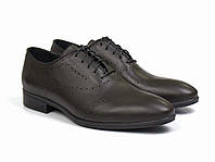 Коричневі оксфорди броги шкіряні чоловічі туфлі взуття класичне в офіс Amedeo Brown by Rosso Avangard