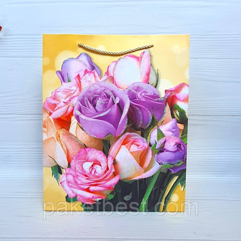 Подарунковий Пакет Преміум(18х23х10)