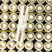 10шт Предохранитель стеклянный 10А 250В F10A250V 5x20