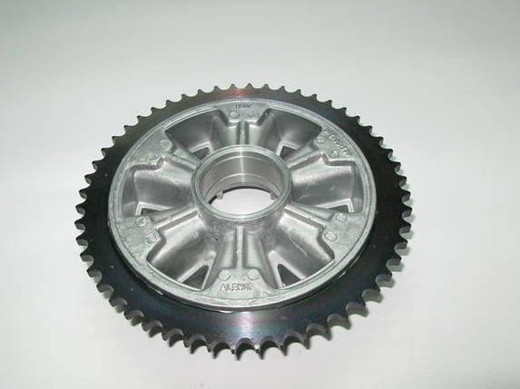 Задня зірка Ява Польща, фото 1