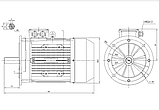 Електродвигун MS 160L1-4 15.00 KWB5 400/690V 50HZ (фланцеве виконання), фото 2