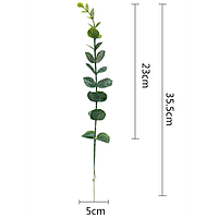 Ветка эвкалипта 35 см