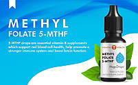 Methyl Folate 5-MTHF Mega Drops 30 ML / Метилфолат BX077, фото 9