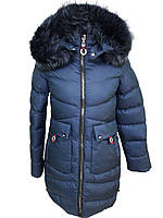 Зимняя куртка-пальто для девочки 140-164 (Польша) темно-синее