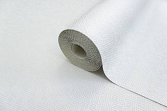 Сірі шпалери під фарбування, вінілові шпалери на папері, шпалери в офіс Vinil LS ТВИЛ НКП 2-0785 (15х0,53 м)