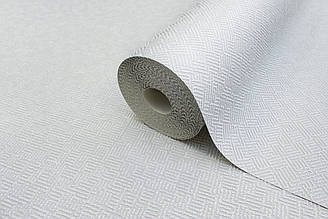 Сірі шпалери під фарбування, вінілові шпалери на папері, шпалери в передпокій Vinil LS ТВИЛ НКП 5-0785 (15х0,53 м)