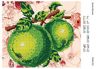 Схема под бисер Зеленые яблоки