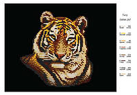 Схема для вышивки бисером Тигр