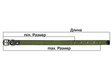 Брезентовий нашийник для собак посилений. Нашийник брезентовий одинарний для собак, Зелений, фото 4