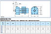 Центробіжний насос для поливу городу з річки, 220 В, 1,5 кВт, 14 м³/год, до 5 бар, Saer CB 50, (Італія), фото 4