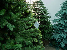 Штучна ялинка лита на металевих крабах VALERIYA 1.20 - 3 м., фото 6