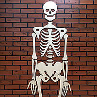 Скелет "Джека" полный рост 170см