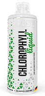 Хлорофіл MST Chlorophyll Liquid 1 л м'ята