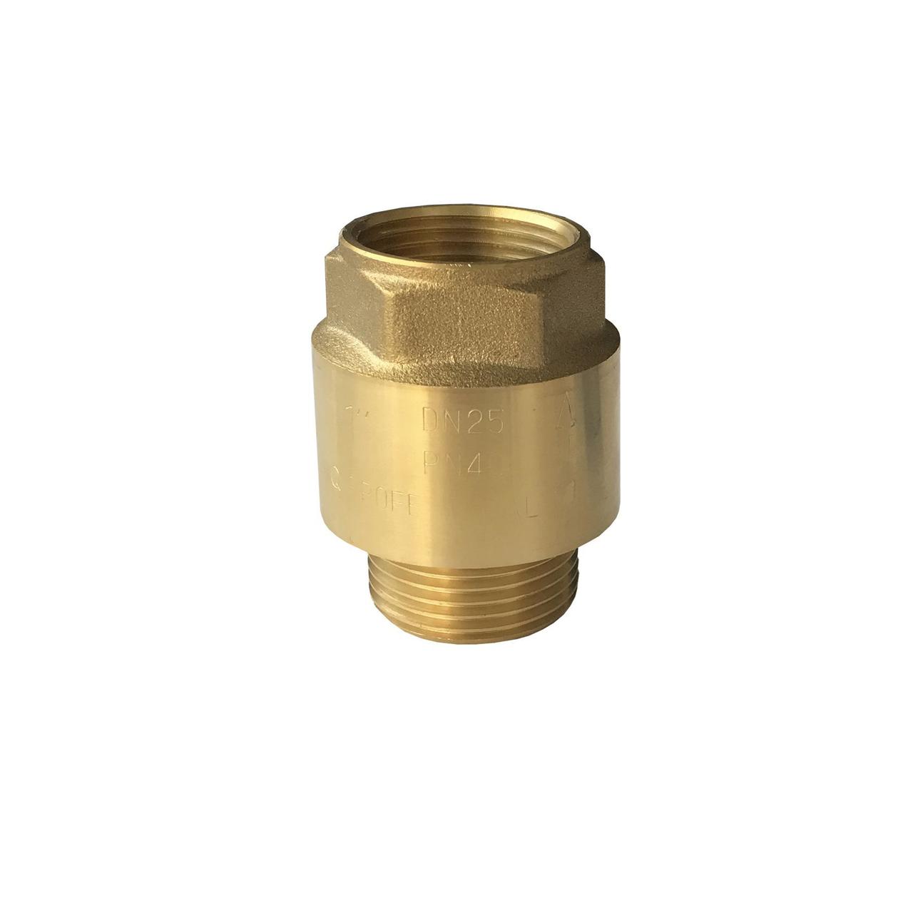 Клапан зворотного ходу води PROFESSIONAL 1" НВ QP100MF, фото 1