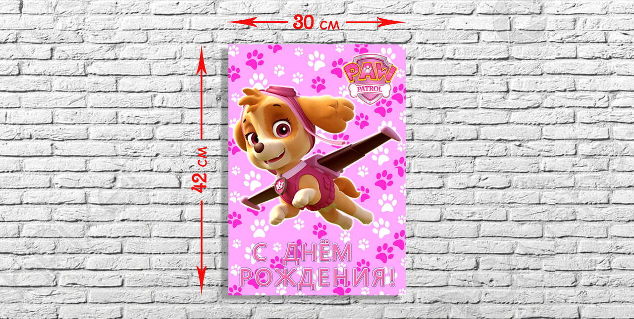 "Щенячий Патруль: Скай" - Плакат Укр В2