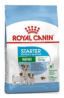 Сухой корм для собак Royal Canin (Роял Канин) MINI STARTER мелкие породы (щенки, кормящие, беременные) 1 кг