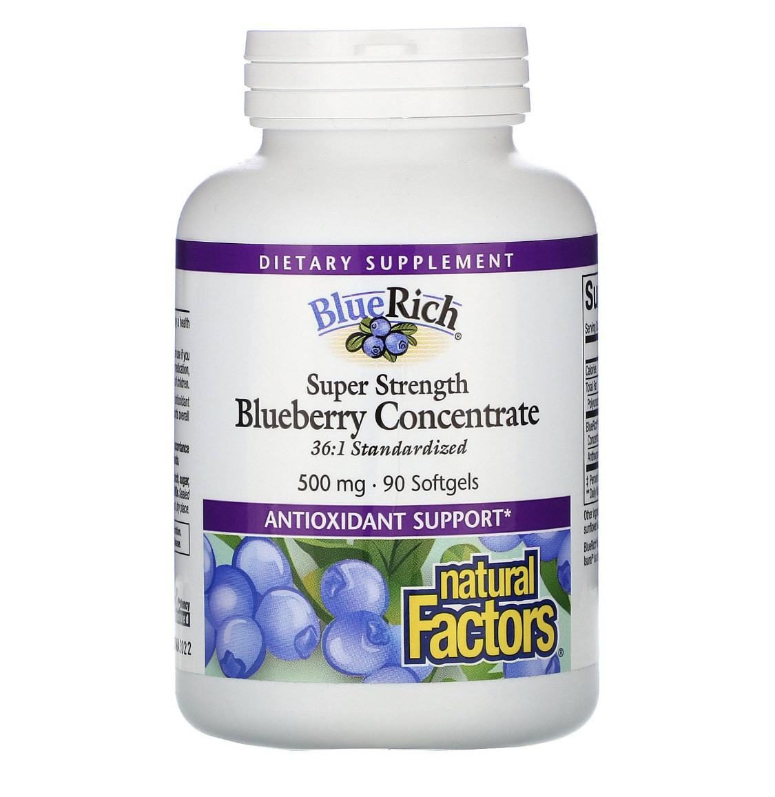 BlueRich супер ефективність, концентрат лохини, 500 мг, 90 таблеток