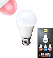 Светодиодная лампа 2в1 EGE LED 9/2w ТB016, Е27
