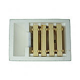 Нуклеус ППС Лисонь не фарбований, фото 2