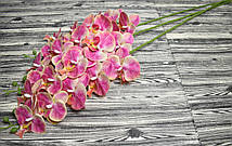 Орхідея Рожево-Морквяна, Латексна (95см), фото 3