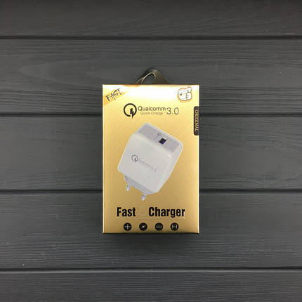 Мережевий зарядний пристрій Fast Charge 3.1 A, фото 1