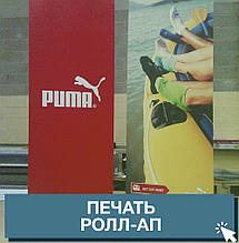 Ролл-ап стенд (Roll-up), фото 3