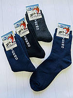 Шкарпетки чоловічі махрові зимові Termo р 41-44