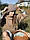 Шапка жіноча бежева ангоровая на флісовій підкладці "Veritate ND", фото 2