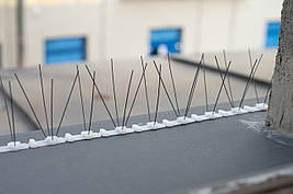 Шипи від птахів голубів і тварин Е3 Antibird білі