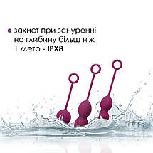 Набір вагінальних кульок зі зміщеним центром ваги Svakom Nova Violet SO4831, фото 5