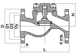 Клапан зворотно підіймальний фланцевий Ду 80, фото 7