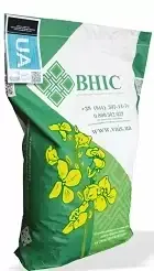 Насіння ріпаку озимого гібрид Блекстоун (Clearfield) (2023 Рік), ТМ "ВНІС", Україна.