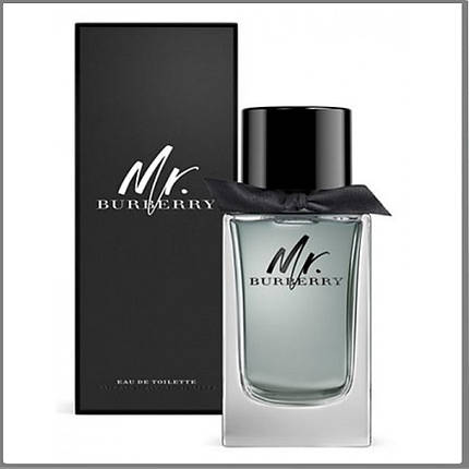 Burberry Mr. Burberry туалетна вода 100 ml. (Берберрі Містер Берберрі), фото 1