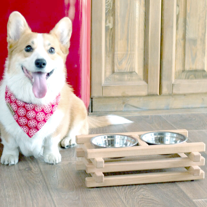 Підставка під миски для собак "Слич" бланже