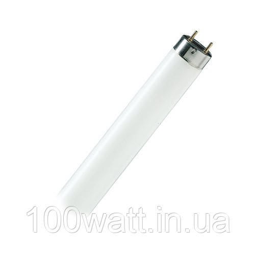 Лампа люминесцентная TL-D 18W/54 T8 G13 PHILIPS 10018794 - фото 1 - id-p229103948