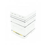 Улей ППС Дадан на 12 рамок Lyson корпус + магазин НЕфарбований із підкришником і гігієнічним дном, фото 2