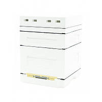 Улей ППС Дадан на 12 рамок Lyson корпус + магазин НЕфарбований із підкришником і гігієнічним дном