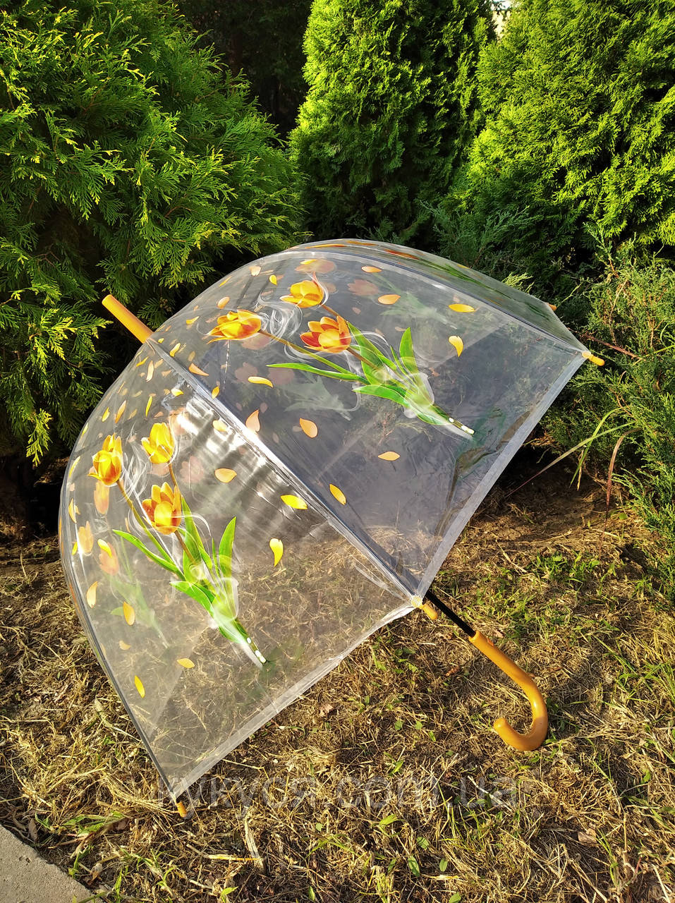 Зонт підлітковий - тростина від дощу прозорий Тюльпани