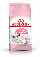 Сухой корм Royal Canin Mother and Babycat для котят до 4 месяцев 400 г.