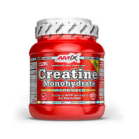 Креатин Amix Nutrition Creatine monohydrate 500g