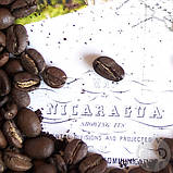 Кофе в зернах Марагоджип Никарагуа зерновой кофе 50 г, фото 2