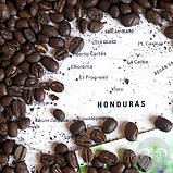Кава в зернах Арабіка Гондурас HG зернова кава 50 г, фото 2