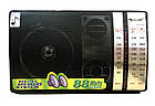 Радіоприймач Golon RX-M70 | Портативна колонка Радіо з флешкою, фото 7