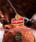 Цукерки Шоколадні Impresso Chocolate Exclusive Спартак Импрессо 454 г Білорусь (опт 2 шт), фото 5