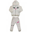 Костюм спортивний CAT для дівчинки 2-3 років двунитка, фото 2