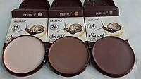 Консилер для обличчя Dishali Natural Concealer Томат