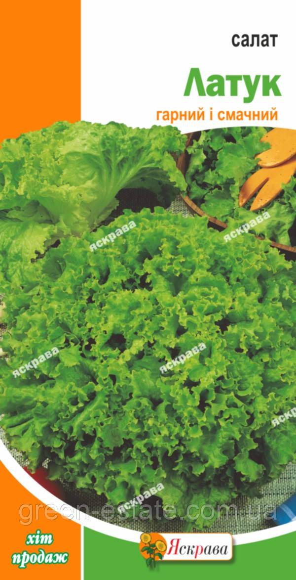 Салат Латук 1,5 р.