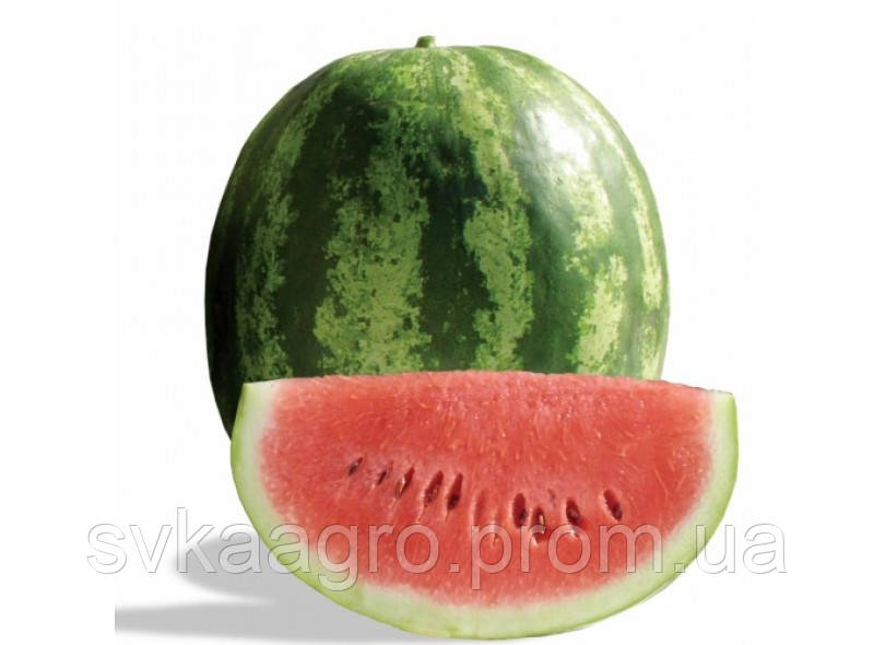 Купити Вилд Хоней F1 1000 шт | Насіння кавуна | [ LIBRA SEEDS ], ціна ...