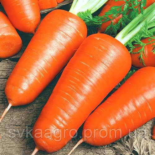 Шантане Ред Кор 0,5 кг | Насіння моркви | Red Cor [ LIBRA SEEDS ]
