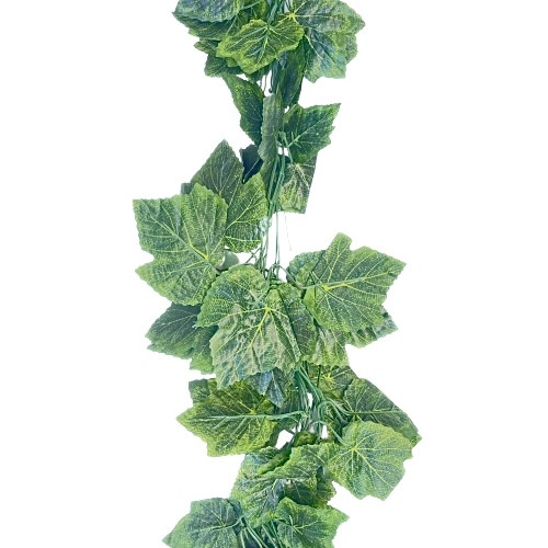 Виноградна ліана з великим листом 12,5 м уп, фото 1